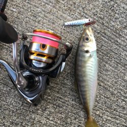 夕マヅメライトゲーム